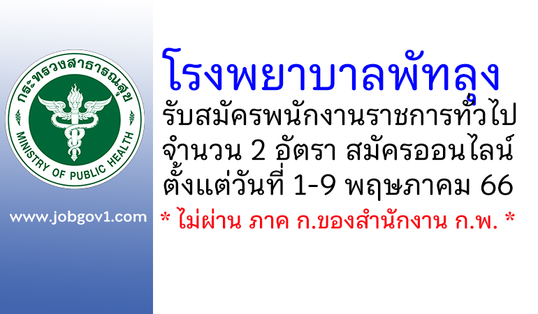 โรงพยาบาลพัทลุง รับสมัครบุคคลเพื่อเลือกสรรเป็นพนักงานราชการทั่วไป 2 อัตรา