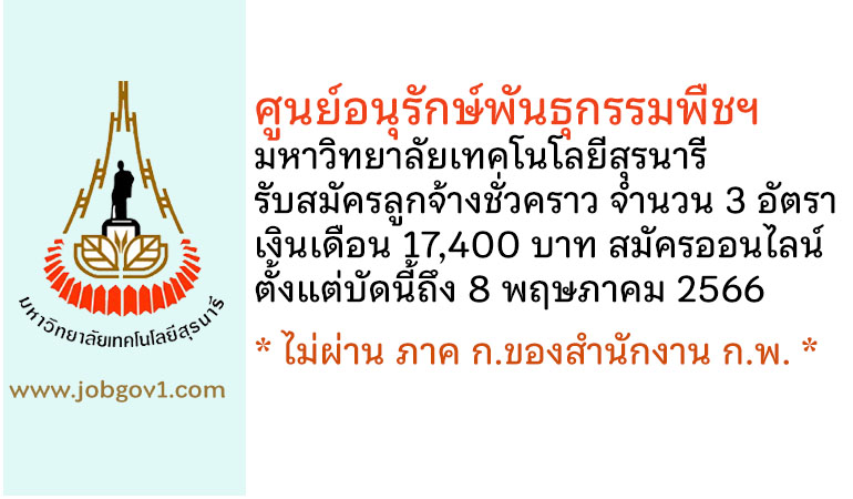 ศูนย์อนุรักษ์พันธุกรรมพืชฯ มหาวิทยาลัยเทคโนโลยีสุรนารี รับสมัครลูกจ้างชั่วคราว 3 อัตรา