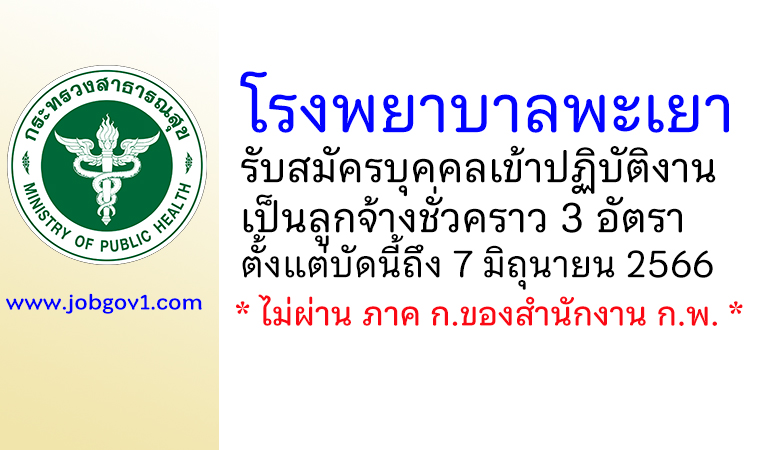 โรงพยาบาลพะเยา รับสมัครบุคคลเข้าปฏิบัติงานเป็นลูกจ้างชั่วคราว 3 อัตรา