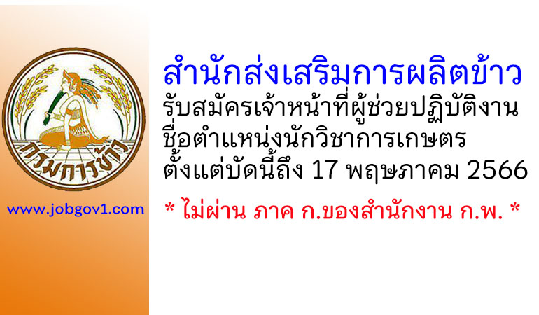 สำนักส่งเสริมการผลิตข้าว รับสมัครเจ้าหน้าที่ผู้ช่วยปฏิบัติงาน ตำแหน่งนักวิชาการเกษตร