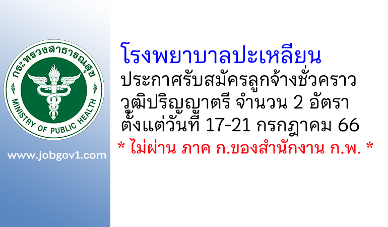 โรงพยาบาลปะเหลียน รับสมัครลูกจ้างชั่วคราว 2 อัตรา