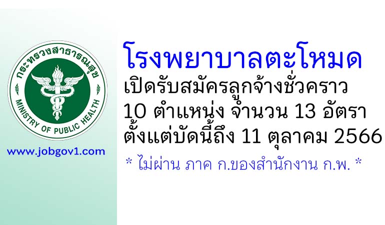 โรงพยาบาลตะโหมด รับสมัครลูกจ้างชั่วคราว 10 ตำแหน่ง 13 อัตรา