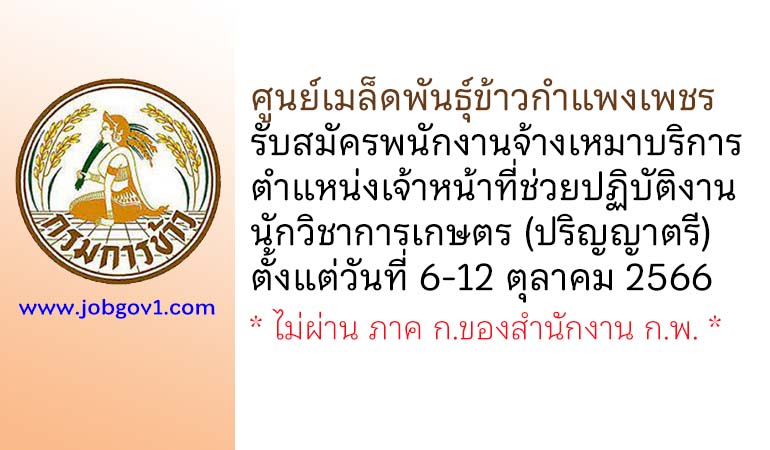 ศูนย์เมล็ดพันธุ์ข้าวกำแพงเพชร รับสมัครพนักงานจ้างเหมาบริการ ตำแหน่งเจ้าหน้าที่ช่วยปฏิบัติงาน นักวิชาการเกษตร