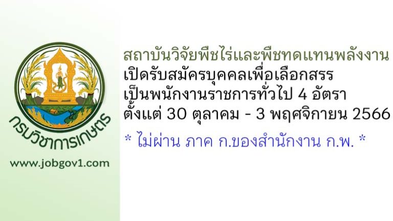 สถาบันวิจัยพืชไร่และพืชทดแทนพลังงาน รับสมัครบุคคลเพื่อเลือกสรรเป็นพนักงานราชการทั่วไป 4 อัตรา