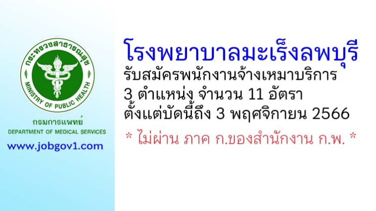 โรงพยาบาลมะเร็งลพบุรี รับสมัครพนักงานจ้างเหมาบริการ 3 ตำแหน่ง 11 อัตรา