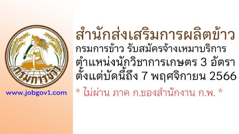 สำนักส่งเสริมการผลิตข้าว กรมการข้าว รับสมัครจ้างเหมาบริการ ตำแหน่งนักวิชาการเกษตร 3 อัตรา