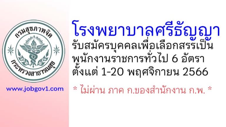 โรงพยาบาลศรีธัญญา รับสมัครบุคคลเพื่อเลือกสรรเป็นพนักงานราชการทั่วไป 6 อัตรา