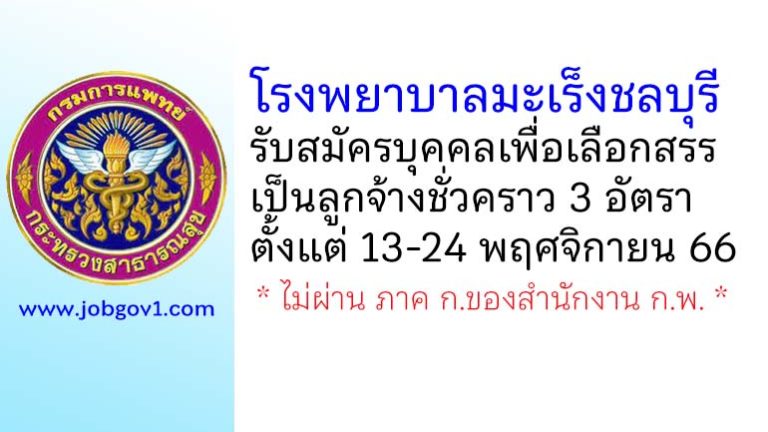 โรงพยาบาลมะเร็งชลบุรี รับสมัครบุคคลเพื่อเลือกสรรเป็นลูกจ้างชั่วคราว 3 อัตรา