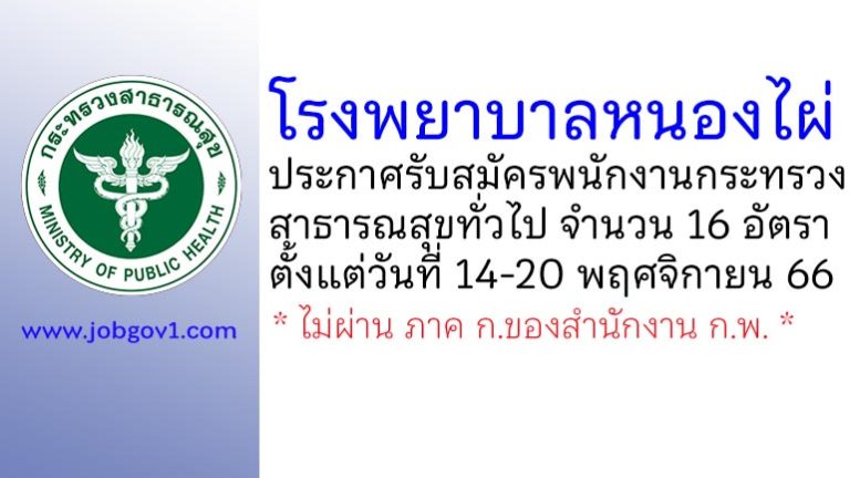 โรงพยาบาลหนองไผ่ รับสมัครพนักงานกระทรวงสาธารณสุขทั่วไป 16 อัตรา