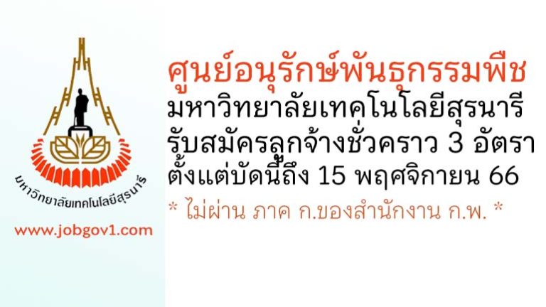 ศูนย์อนุรักษ์พันธุกรรมพืช มหาวิทยาลัยเทคโนโลยีสุรนารี รับสมัครลูกจ้างชั่วคราว 3 อัตรา