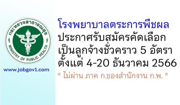 โรงพยาบาลตระการพืชผล รับสมัครคัดเลือกเป็นลูกจ้างชั่วคราว 5 อัตรา