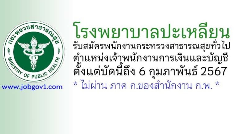 โรงพยาบาลปะเหลียน รับสมัครพนักงานกระทรวงสาธารณสุขทั่วไป ตำแหน่งเจ้าพนักงานการเงินและบัญชี