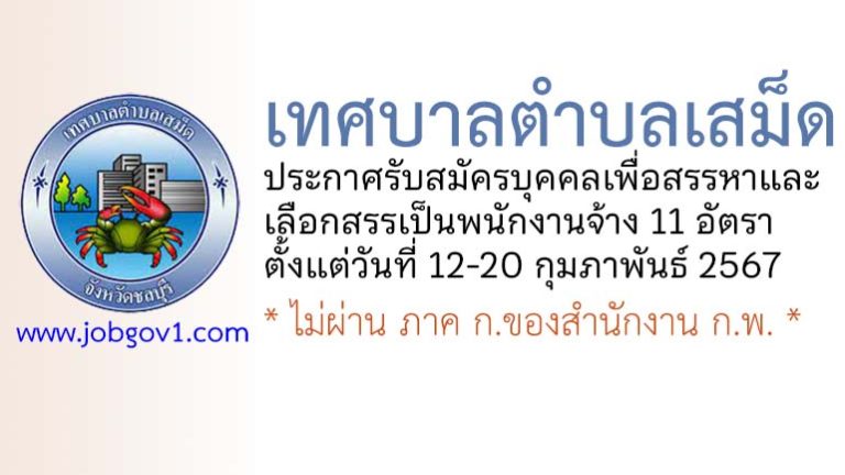 เทศบาลตำบลเสม็ด รับสมัครบุคคลเพื่อสรรหาและเลือกสรรเป็นพนักงานจ้าง 11 อัตรา