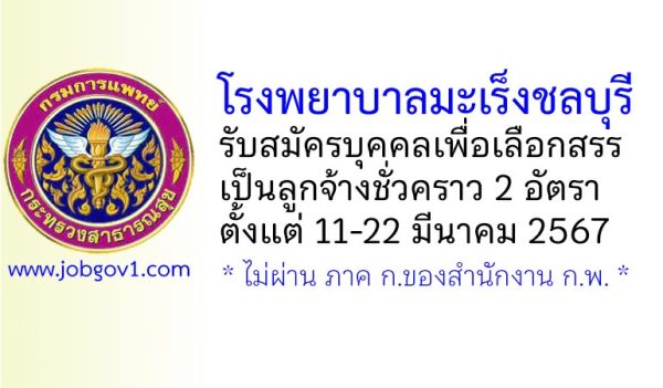 โรงพยาบาลมะเร็งชลบุรี รับสมัครบุคคลเพื่อเลือกสรรเป็นลูกจ้างชั่วคราว 2 อัตรา