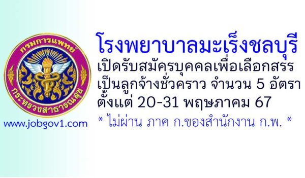 โรงพยาบาลมะเร็งชลบุรี รับสมัครบุคคลเพื่อเลือกสรรเป็นลูกจ้างชั่วคราว 5 อัตรา