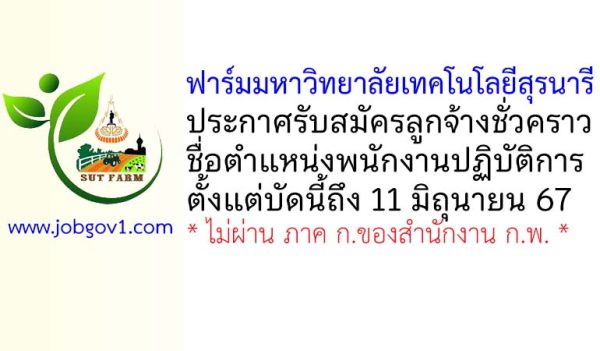 ฟาร์มมหาวิทยาลัยเทคโนโลยีสุรนารี รับสมัครลูกจ้างชั่วคราว ตำแหน่งพนักงานปฏิบัติการ