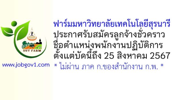 ฟาร์มมหาวิทยาลัยเทคโนโลยีสุรนารี รับสมัครลูกจ้างชั่วคราว ตำแหน่งพนักงานปฏิบัติการ