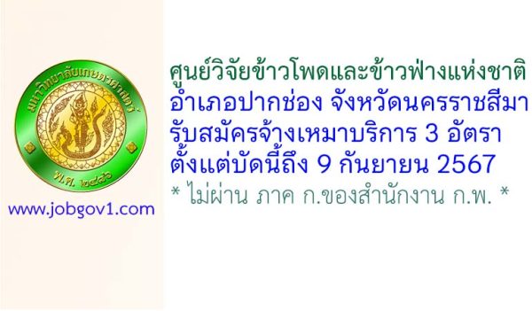 ศูนย์วิจัยข้าวโพดและข้าวฟ่างแห่งชาติ รับสมัครจ้างเหมาบริการ จำนวน 3 อัตรา