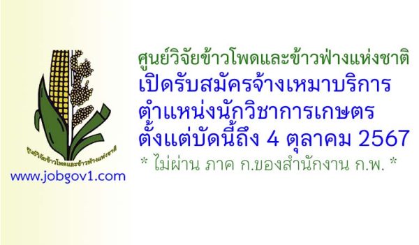 ศูนย์วิจัยข้าวโพดและข้าวฟ่างแห่งชาติ รับสมัครจ้างเหมาบริการ ตำแหน่งนักวิชาการเกษตร