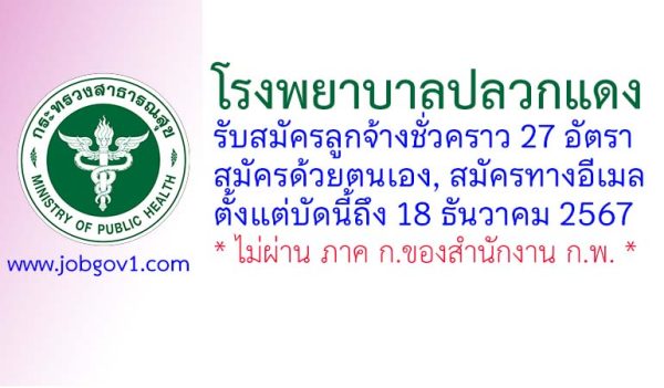 โรงพยาบาลปลวกแดง รับสมัครลูกจ้างชั่วคราว 27 อัตรา