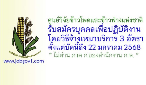 ศูนย์วิจัยข้าวโพดและข้าวฟ่างแห่งชาติ รับสมัครจ้างเหมาบริการ 3 อัตรา